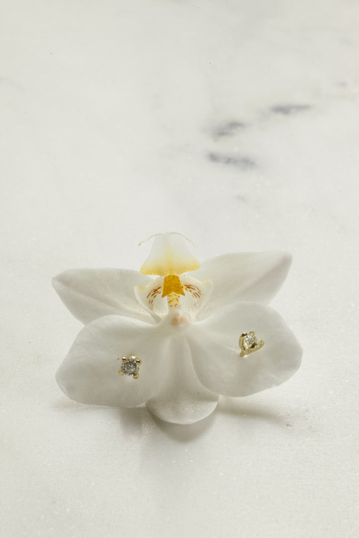 0,1 CT DIAMONDS EARRINGS